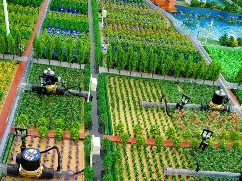 ����r�Iģ��,�����r�Iģ��